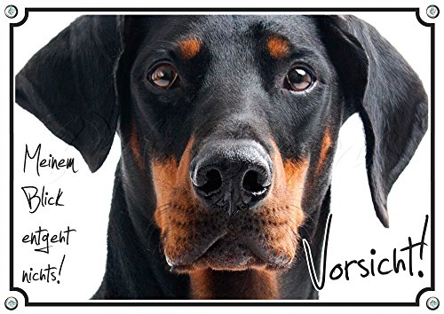 Petsigns Warnschild Dobermann - erstklassiges Hundeschild - rostfrei und beständig, DIN A3 von Petsigns