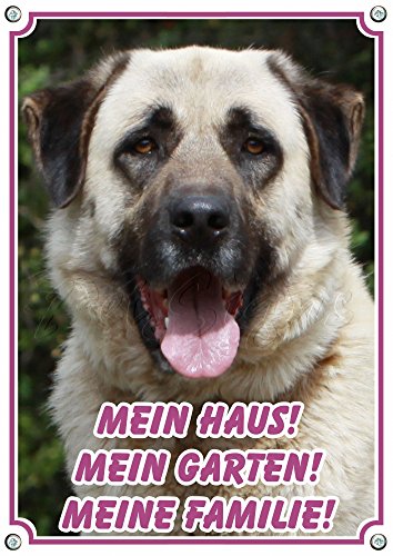 Petsigns Warnschild Kangal - Hundeschild aus Stabiler Metallplatte bis DIN A3 bestellbar, DIN A4 von Petsigns