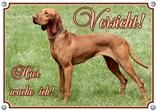 Petsigns Warnschild Magyar Vizsla Kurzhaar - stabiles Metallschild bis DIN A3 bestellbar, DIN A3 von Petsigns