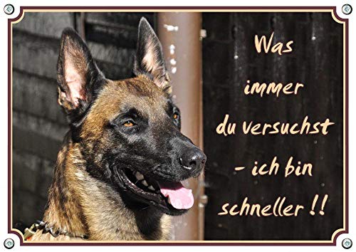 Petsigns Warnschild Malinois - Hundeschild Belgischer Schäferhund - stabil und haltbar, DIN A3 von Petsigns