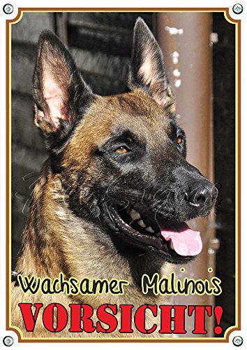 Petsigns Warnschild - Wachsamer Malinois! Robustes Metallschild, DIN A4 von Petsigns