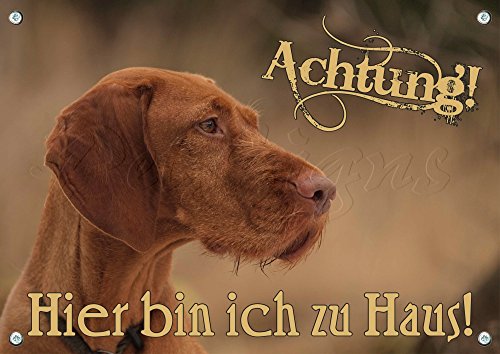 Petsigns Warnschild aus Metall - Magyar Vizsla -hochwertiges Hundeschild mit Fotodruck, DIN A4 Petsigns Warnschild aus Metall - Magyar Vizsla -hochwertiges Hundeschild mit Fotodruck, DIN A4 von Petsigns