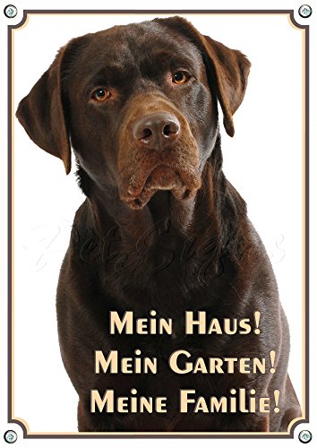 Petsigns Warnschild brauner Labrador - Mein Haus! Hundeschild aus Stabiler Metallplatte, DIN A4 Petsigns Warnschild brauner Labrador - Mein Haus! Hundeschild aus Stabiler Metallplatte, DIN A4 von Petsigns