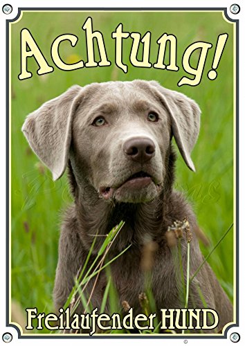 Petsigns Warnschild silberner Labrador - stabiles Metallschild mit Fotodruck-uv beständig, DIN A4 von Petsigns