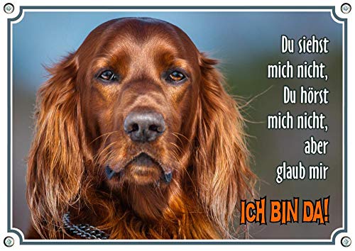 Petsigns Wunderschönes Hundeschild - Irischer Roter Setter - Metall Warnschild, DIN A4 von Petsigns