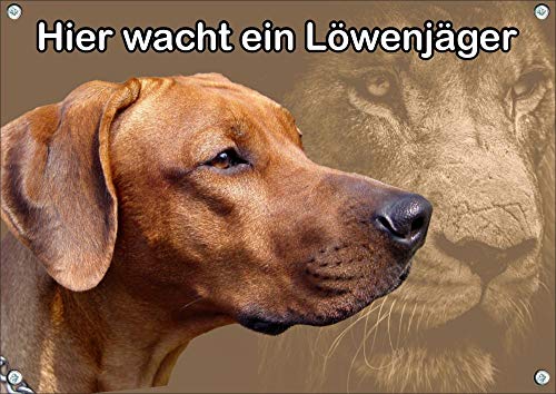 Petsigns ausdrucksstarkes Hundeschild Rhodesian Ridgeback - in Premiumqualität - Warnschild, DIN A4 von Petsigns
