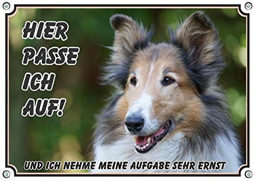 Petsigns hochwertiges Hundeschild - Collie - Metallschild Warnschild in Premiumqualität, DIN A5 von Petsigns