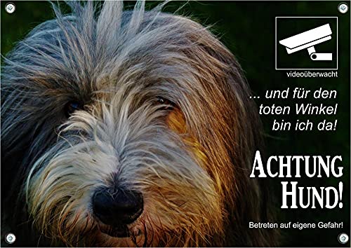 Petsigns hochwertiges Warnschild - Bearded Collie - Metallschild in Premiumqualität - videoüberwacht, DIN A4 von Petsigns