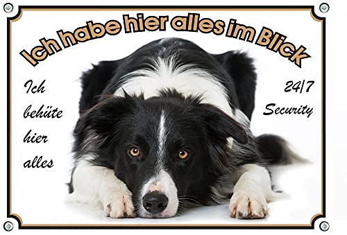 Petsigns wunderschönes Hundeschild Border Collie - Metallschild Premiumqualität - rostfrei und beständig, DIN A5 von Petsigns
