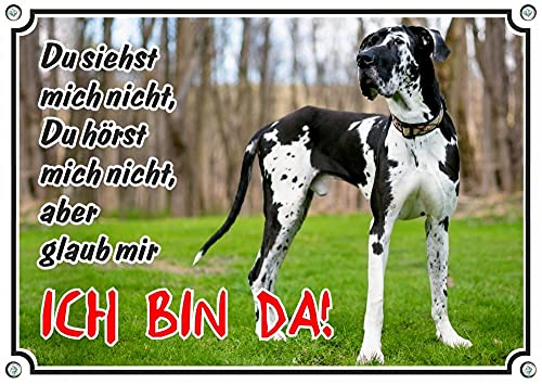 Petsigns wunderschönes Hundeschild - Deutsche Dogge - Great Dane - Premiumqualität, DIN A4 von Petsigns