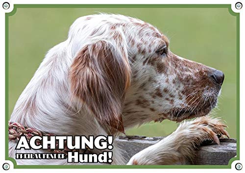 Petsigns wunderschönes Hundewarnschild English Setter - haltbares massives Metallschild, DIN A4 von Petsigns