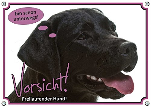 Warnschild Labrador Retriever - Exklusives Hundeschild in Fotoqualität, DIN A5 von Petsigns