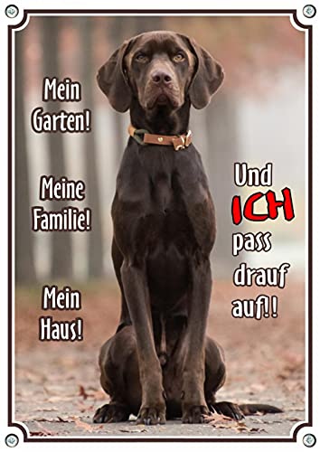 hochwertiges Warnschild - brauner Labrador Retriever - Metallschild in Premiumqualität, DIN A4 von Petsigns