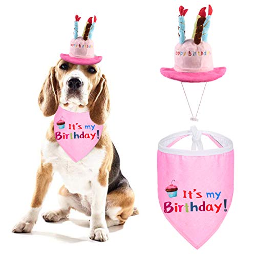 Petyoung Hund Alles Gute zum Geburtstag Kerze Hut mit Bandana Schal für Mädchen Jungen - Perfekte Outfits Und Dekorationen für Haustier Geburtstagsfeier Lieferungen von Petyoung