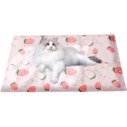 Peufcmi Kühlende Matten Für Katzen,Tragbare Waschbare Kühldecke Für Haustiere | Bequeme Und Atmungsaktive Matte Für Kätzchen Zum Ausruhen Und Schlafen | Zu Hause Outdoor Camping Peufcmi Kühlende Matten Für Katzen,Tragbare Waschbare Kühldecke Für Haustiere | Bequeme Und Atmungsaktive Matte Für Kätzchen Zum Ausruhen Und Schlafen | Zu Hause Outdoor Camping von Peufcmi