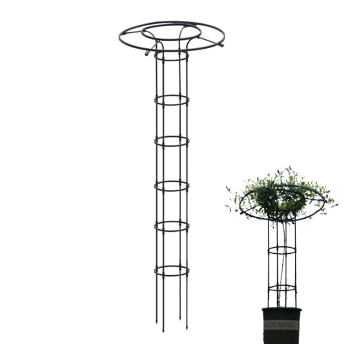 Peufcmi Rankgitter Für Kletterpflanzen Im Freien | Stützgerüst Für Rankpflanzen Im Garten | Metall Rankhilfe Mit Säulenform Für Blumen, Zimmerpflanzen & Rankgewächse Peufcmi Rankgitter Für Kletterpflanzen Im Freien | Stützgerüst Für Rankpflanzen Im Garten | Metall Rankhilfe Mit Säulenform Für Blumen, Zimmerpflanzen & Rankgewächse von Peufcmi