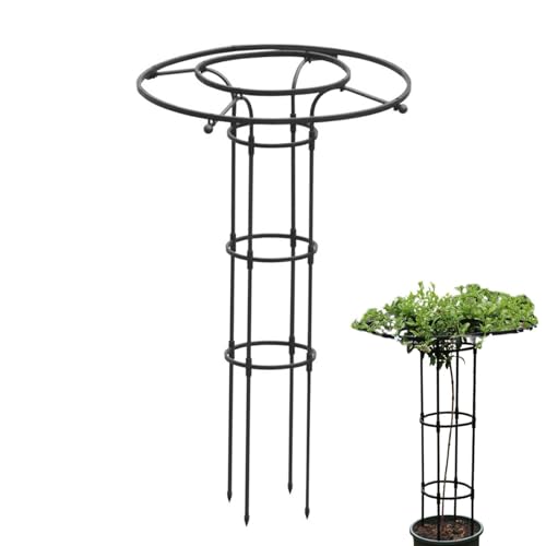 Peufcmi Rankhilfe Für Kletterpflanzen | Vertikale Blumenstütze - Metall Rankhilfe Mit Säulenform Für Blumen, Zimmerpflanzen & Rankgewächse Peufcmi Rankhilfe Für Kletterpflanzen | Vertikale Blumenstütze - Metall Rankhilfe Mit Säulenform Für Blumen, Zimmerpflanzen & Rankgewächse von Peufcmi