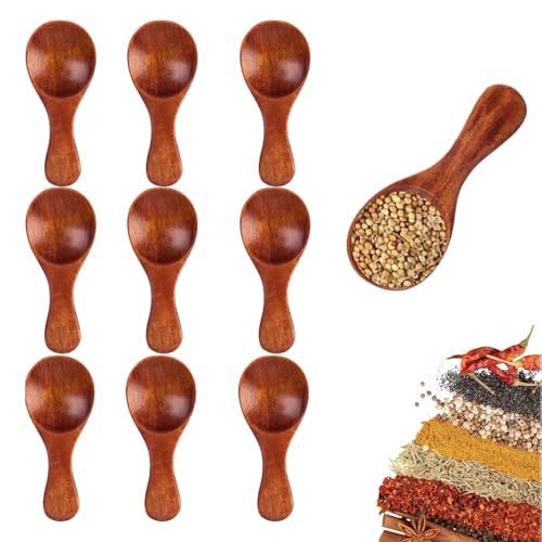 10 Stück Holzlöffel Klein, Mini Holzlöffel Mit Kurzem Griff, Salzlöffel, Holz Gewürzlöffel, Honigteelöffel, 8,5 * 3,5 cm, Holz, Kurzer Griff, Für Gewürze, Tee, Desserts, Marmelade (Dunkelbraun) von Peuirre
