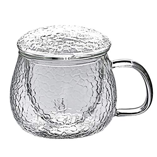 Peukerty Mundgeblasene hitzebeständige Glas-Teetasse mit Deckel und Teesieb, Borosilikatglas, Teetasse, innovative Teeflasche mit Filter, 430 ml von Peukerty