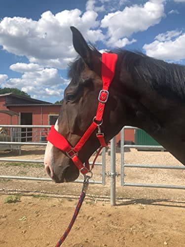 Halfter Kaltblut gepolstert| Halfter für Pferde xfull | mit Fleece | Halfter für Pferde schwarz | 2 Fach verstellbar (Rot, Warmblut) von Pferdelinis