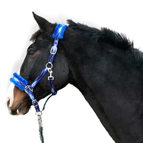 Halfter für Pferde Fell Halfter unterlegt Halfter blau in den Größen xfull Halfter, Pony, Cob, Warmblut (Kaltblut (X-Full), Blau) von Pferdelinis