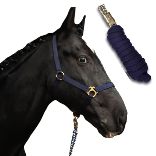 Halfter für Pferde mit Strick | Führstrick Pferd mit Halfter | Halfter Shetty, Pony, Vollblut, Full, X-Full mit Strick (Dunkelblau, Mini Shetty) von Pferdelinis
