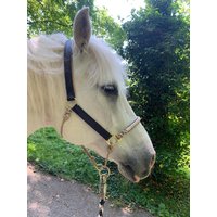 Trainingshalfter Leder + Seil von Pferdemaedl