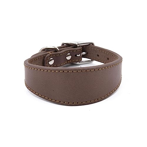 Leathers Greyhound-Halsbänder, weiche Polsterung, breite Halsbänder für Whippets, Lurcher, Salukis, große Rassen, Haustierzubehör, Whippets, Halsband, Lurcher, Sichthunde Leathers Greyhound-Halsbänder, weiche Polsterung, breite Halsbänder für Whippets, Lurcher, Salukis, große Rassen, Haustierzubehör, Whippets, Halsband, Lurcher, Sichthunde von Pffiocix