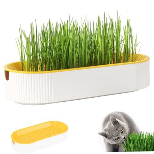 Katzengras -Pflanzer, abnehmbare Mesh -Hydroponic -Töpfe mit Wasserspiegel -Betrachtungsanschluss, gesunde und sichere Katzenversorgung, Keine Samen enthalten von Pfjsseey