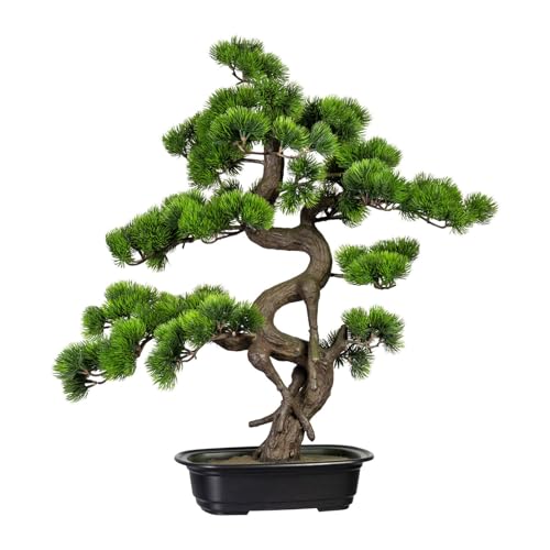 Kunstpflanze Bonsai Kiefer, Höhe ca. 65 cm von Pflanzen Kölle