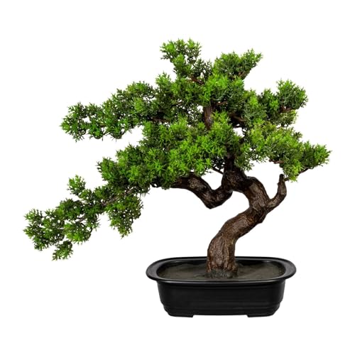 Kunstpflanze Bonsai Myrthe, Höhe ca. 40 cm von Pflanzen Kölle