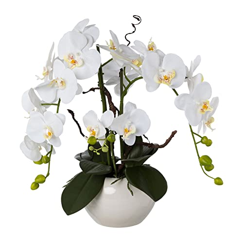 Kunstpflanze Phalaenopsis 'Real Touch', weiß, Topf-Ø 18 cm, Höhe ca. 55 cm von Pflanzen Kölle