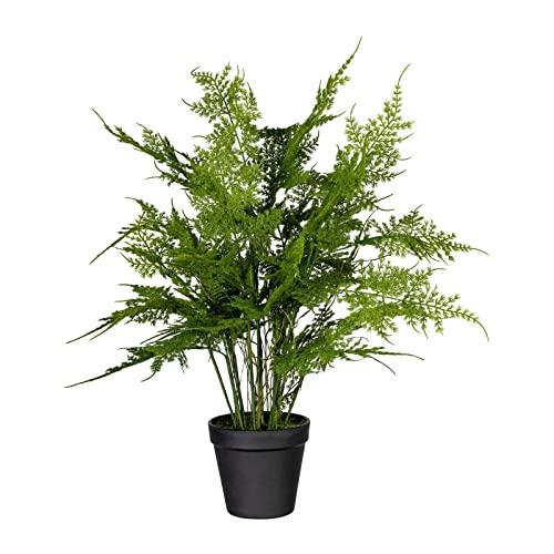 Pflanzen Kölle Kunstpflanze Asparagus plumosus mit 13 Wedeln, Topf-Ø 11 cm, Höhe ca. 40 cm von Pflanzen Kölle