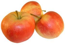 Apfelbaum Elstar 7,5 L Container von Pflanzen