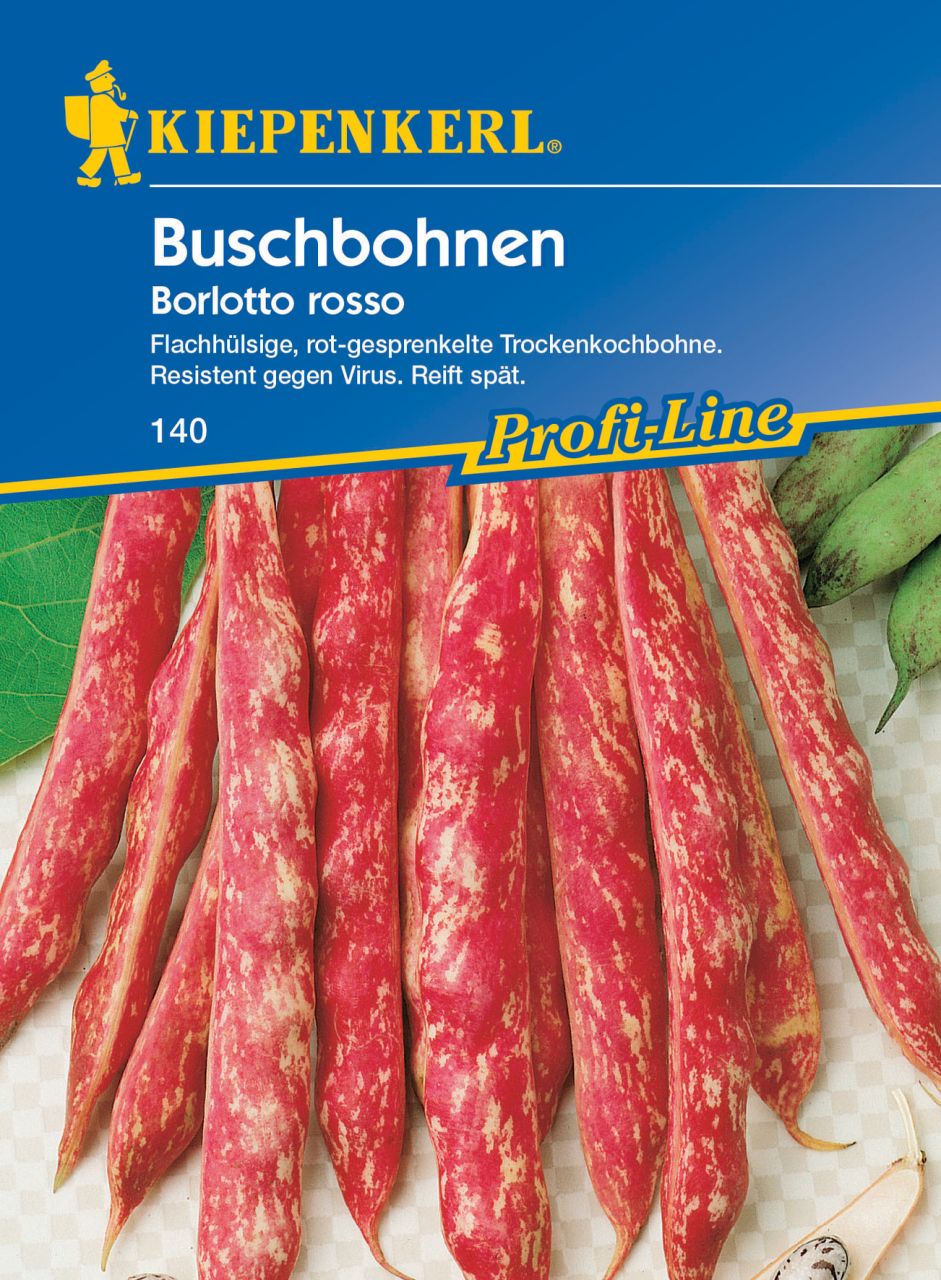 Kiepenkerl Buschbohne Borlotto Rosso von Pflanzen