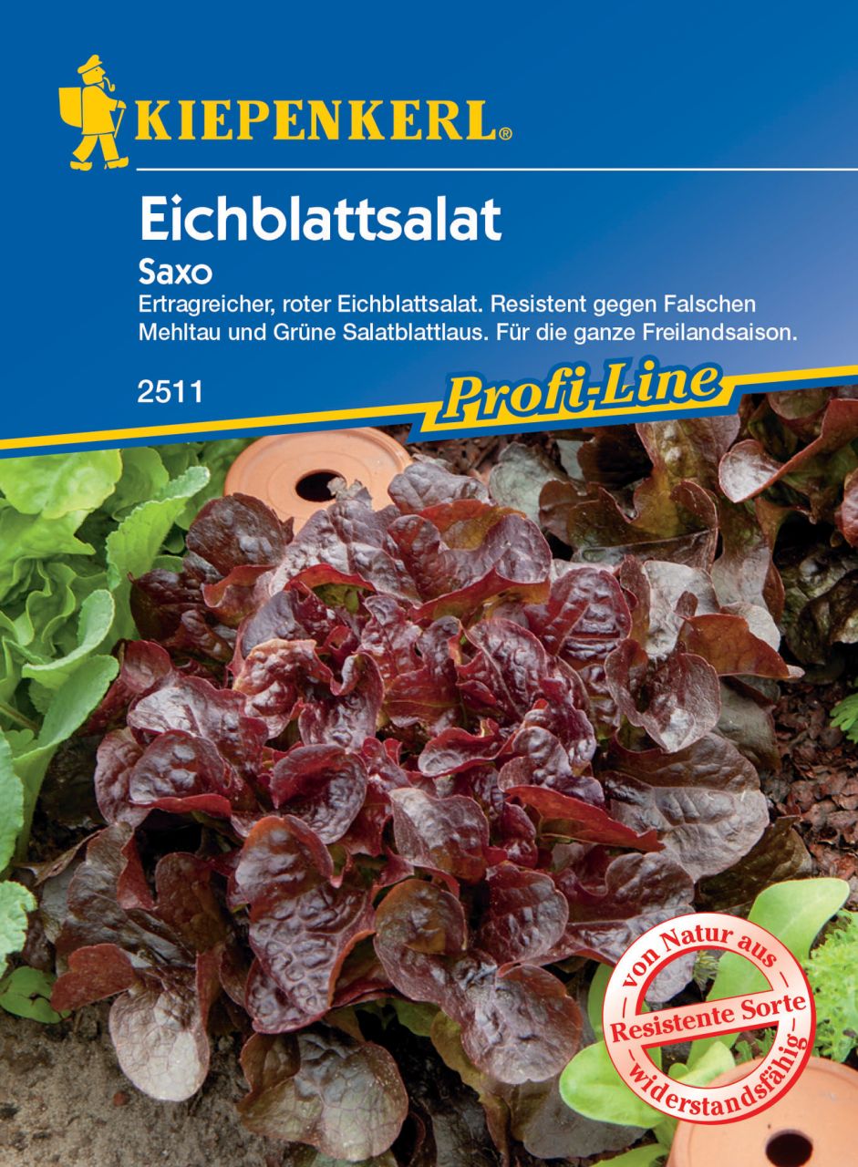 Kiepenkerl Eichblattsalat Saxo von Pflanzen