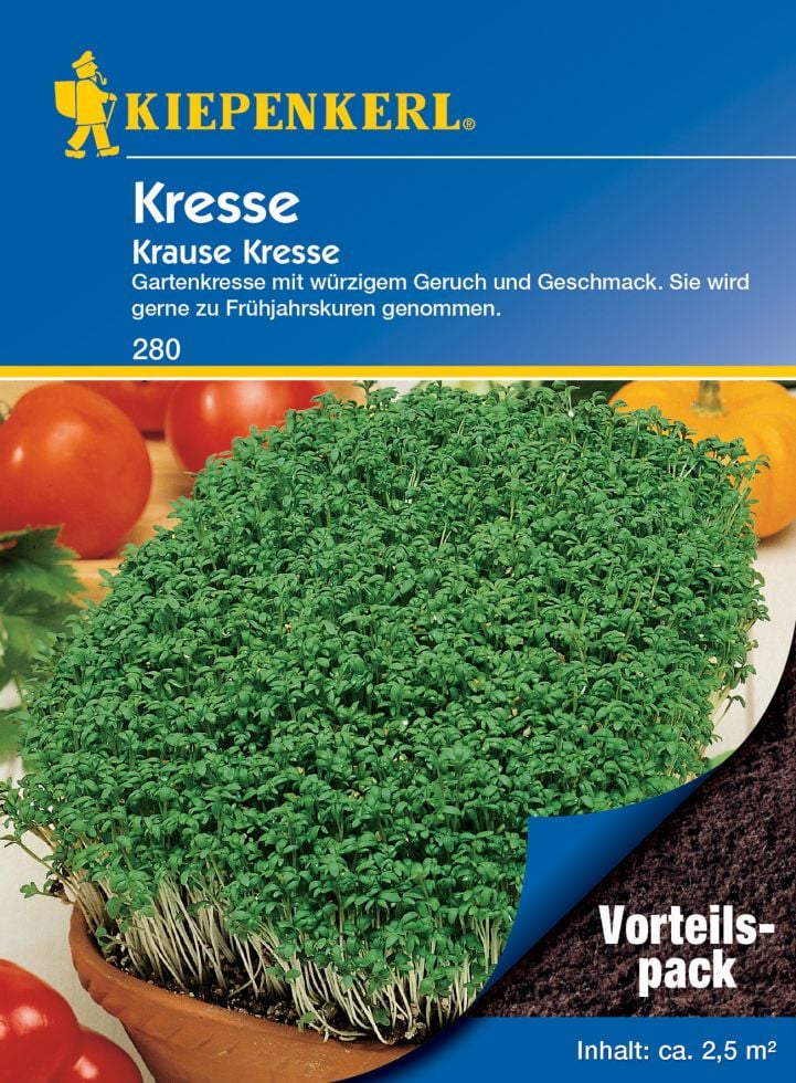 Kiepenkerl Kresse Krause Vorteilspack von Pflanzen