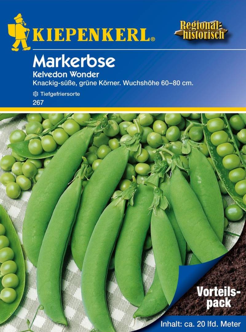 Kiepenkerl Markerbse Kelvedon Wonder Vorteilspack von Pflanzen