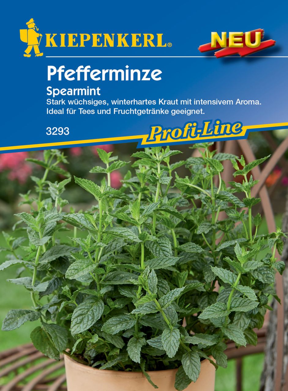 Kiepenkerl Pfefferminze Spearmint von Pflanzen