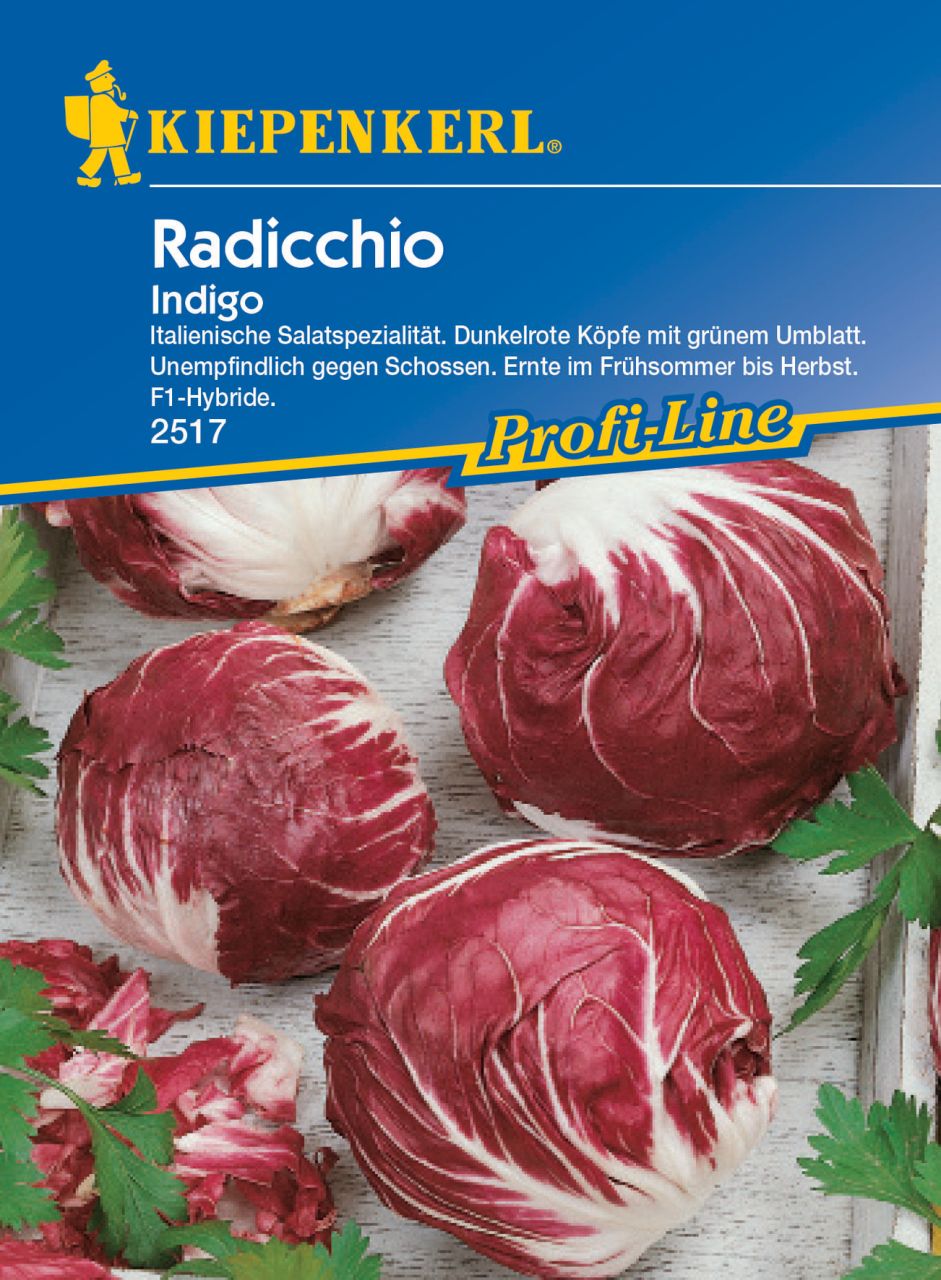 Kiepenkerl Radicchio Indigo F1 von Pflanzen