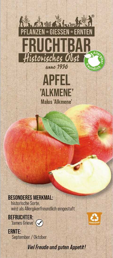 Stadt Ernte Bio Obstbaum Apfel Alkmene H 150 cm 29 cm Topf von Pflanzen