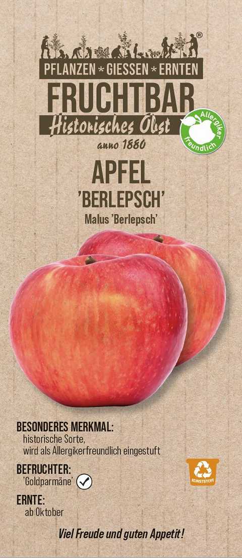 Stadt Ernte Bio Obstbaum Apfel Berlepsch H 150 cm 29 cm Topf von Pflanzen