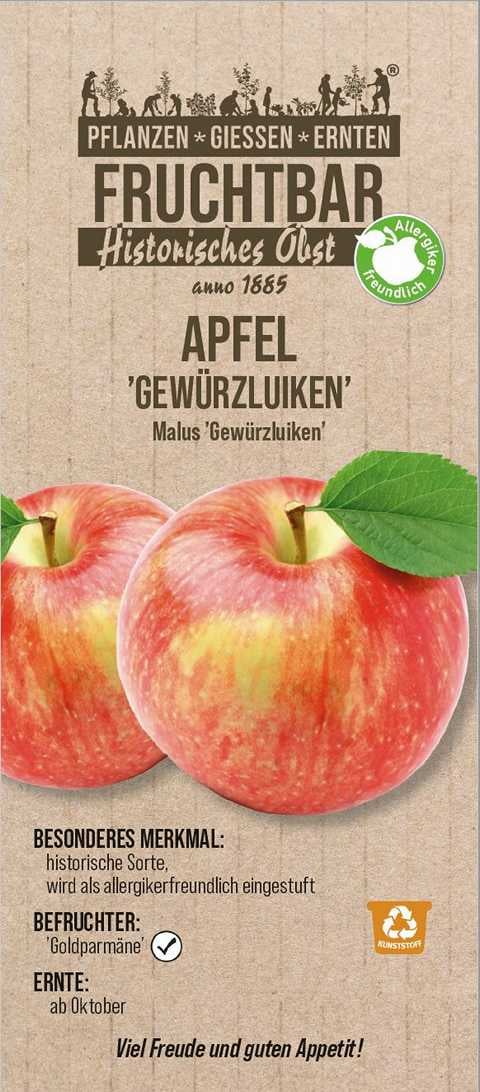 Stadt Ernte Bio Obstbaum Apfel Gewürzluiken H 150 cm 29 cm Topf von Pflanzen