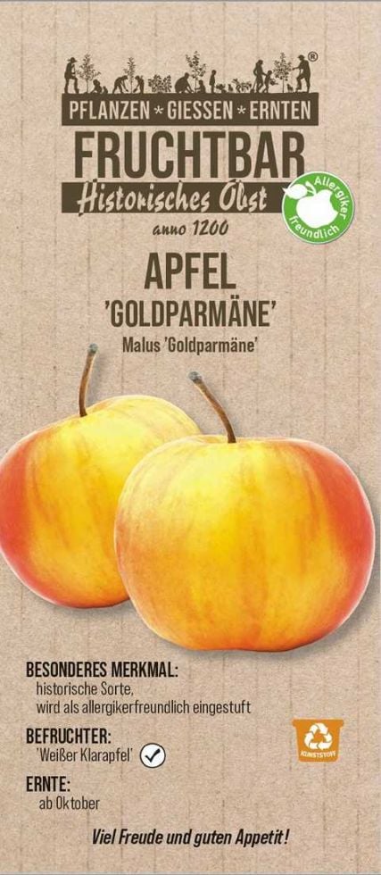 Stadt Ernte Bio Obstbaum Apfel Goldparmäne H 150 cm 29 cm Topf von Pflanzen