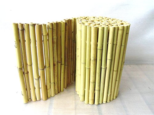 PflanzenFuchs Sichtschutz - Bambusmatte Weiß Heller Bambus Bambusrohr 35 x 200cm [3776] von PflanzenFuchs