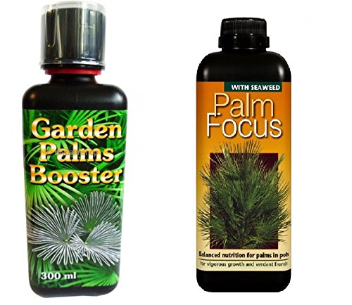 SET Exoten- und Palmendünger Palm Booster Palm Focus 300ml von PflanzenFuchs