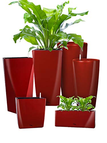 Pflanzwerk® ÖKOSYSTEM Pflanzkübel Cube - Blumentöpfe Übertöpfe mit BEWÄSSERUNGSSYSTEM - 38x40x40cm Shiny ROT *Indoor & Outdoor Blumenkübel* *UV-Schutz* *Premium Markenqualität* von Pflanzwerk