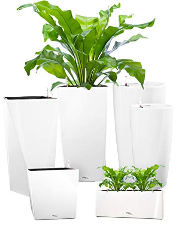 Pflanzwerk® ÖKOSYSTEM Pflanzkübel TUB - Blumentöpfe Übertöpfe mit BEWÄSSERUNGSSYSTEM - 32x56x28cm Shiny Weiss *Indoor & Outdoor Blumenkübel* *UV-Schutz* *Premium Markenqualität* von Pflanzwerk