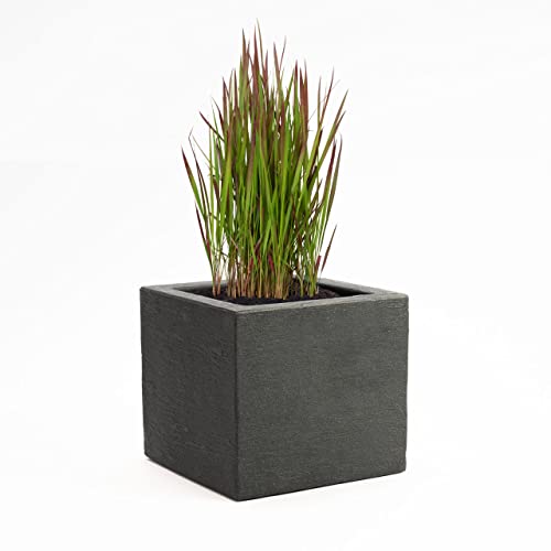 Pflanzwerk® Pflanzkübel Cube Anthrazit Kunststoff 42x50x50cm *Größe auswählbar* *Frostbeständiger Blumenkübel* *100% ÖKOLOGISCH* *2 Jahre GARANTIE* *Qualitätsware* von Pflanzwerk