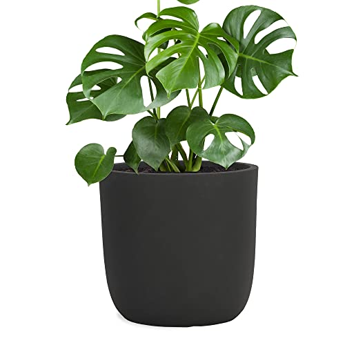 Pflanzwerk® Pflanzkübel Cup - Blumentöpfe Übertöpfe 27cm Ø ANTHRAZIT *Frostbeständige Blumenkübel* *UV-Schutz* *Pflanzenkübel Premiumqualität* von Pflanzwerk